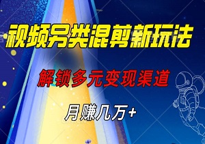 【揭秘】视频另类混剪新玩法，解锁多元变现渠道，月赚几万+-二八网赚