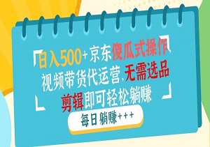 京东视频带货实战攻略：日入500+的傻瓜式操作揭秘，代运营轻松上手-二八网赚